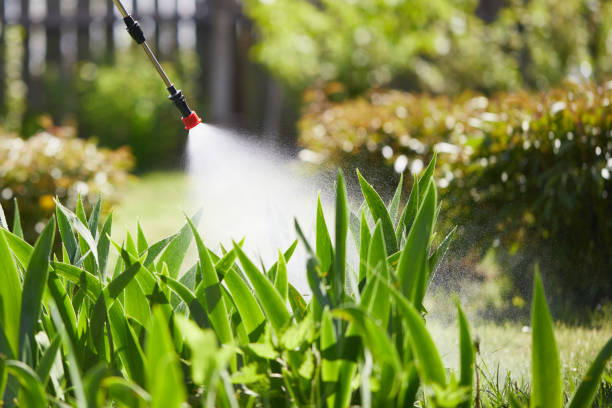 24/7 Emergency Wasp Removal experts in Lugoff, SC