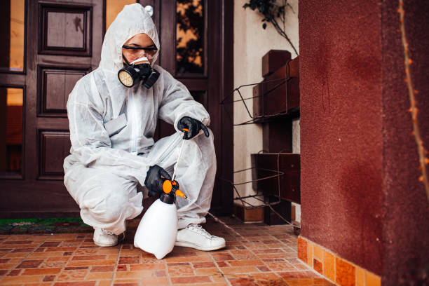 Reliable Wasp Removal contractor in Lugoff, SC by Show Me Pest Control